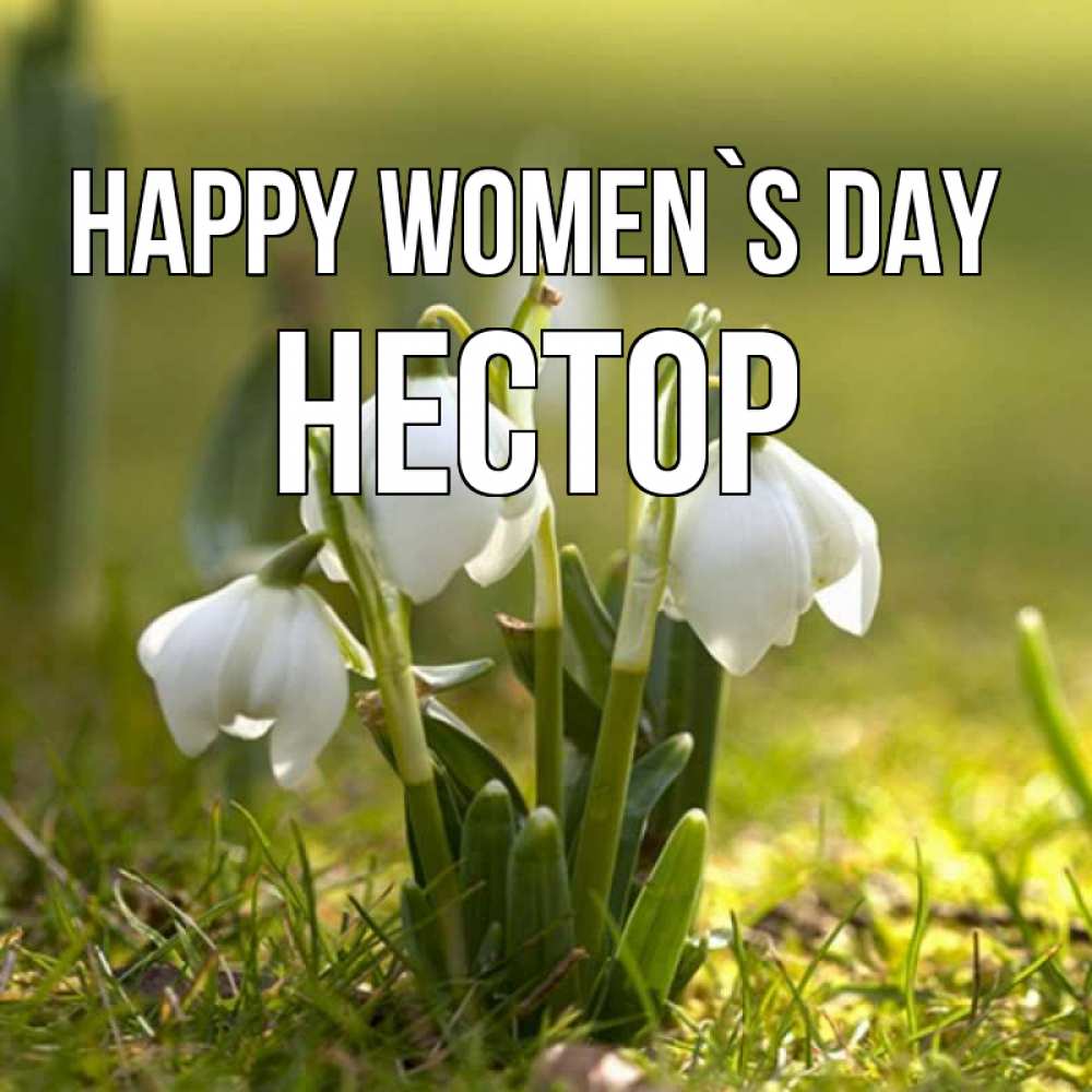 Greetings card с именем, Нестор happy women`s day ранние цветы 2 Greetings with text for free download 